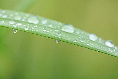 《战锤40K：弑君者》即将关服 全平台现已停售